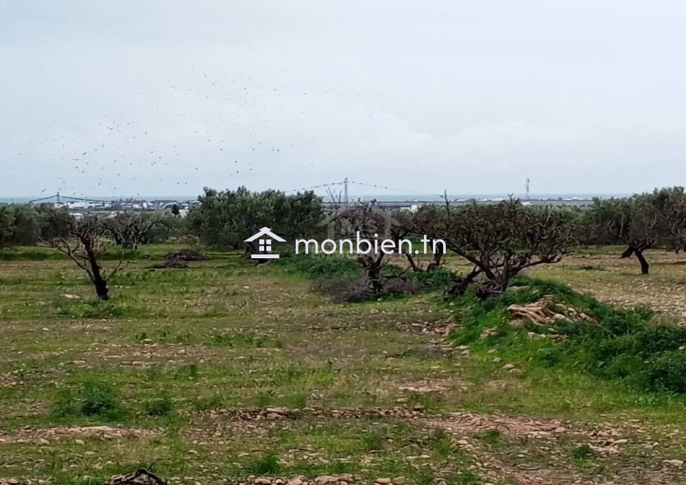 Terrain de 2700 m² à Hammamet Sud à vendre à 200 MD 51355351