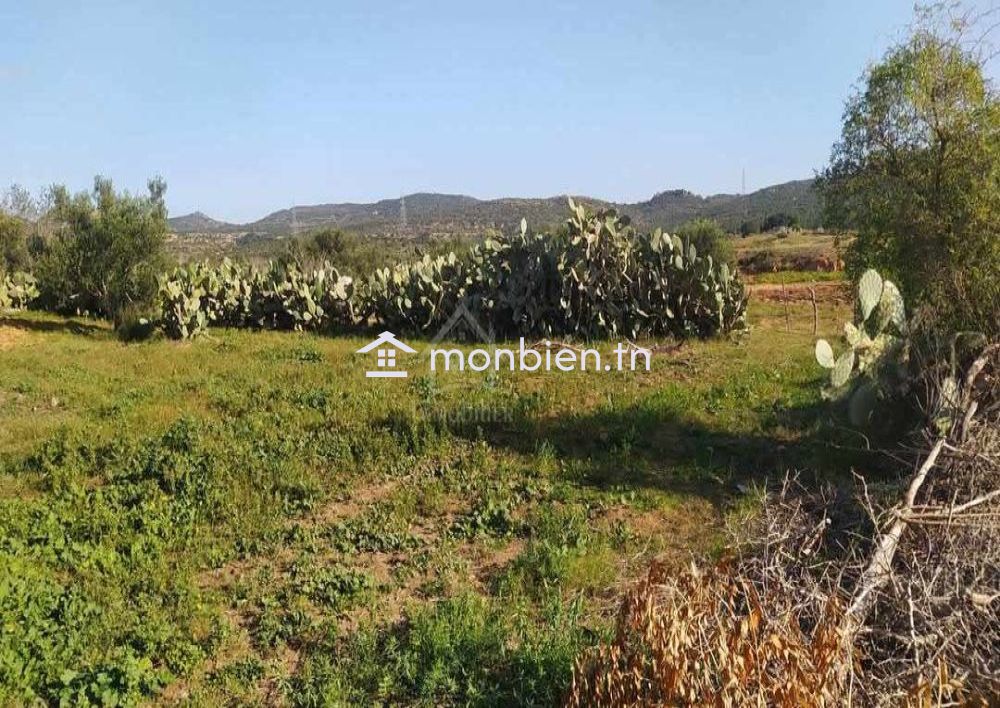 Terrain de 1932 m² à Birbouragba à vendre 51355351