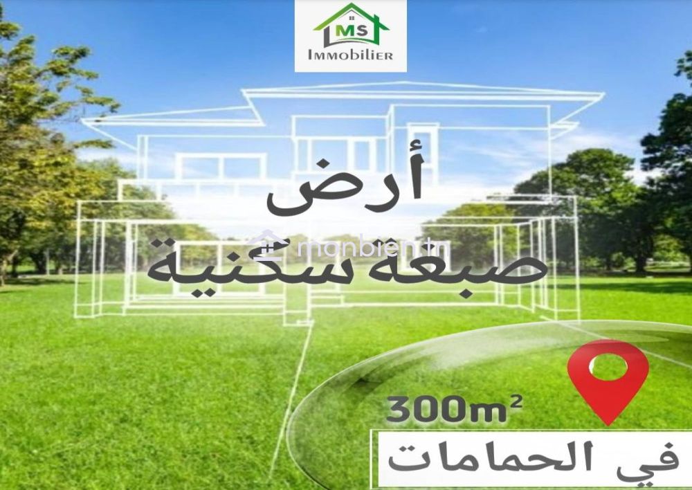 51355351للبيع أرض صبغة سكنية في الحمامات الجنوبية