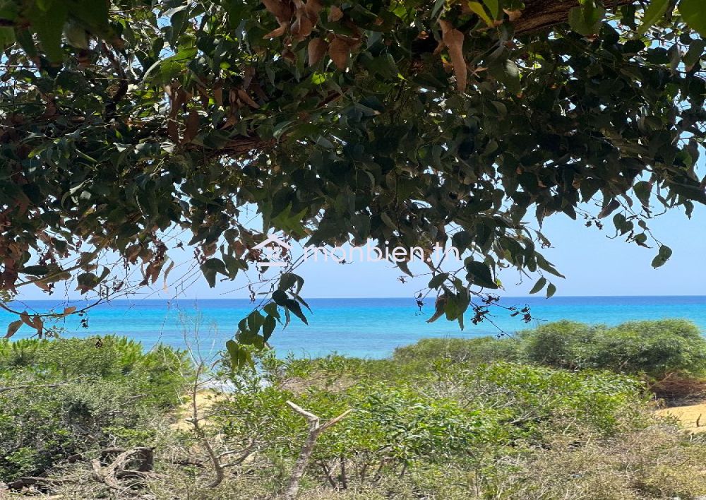 un terrain de 5 ha a partager par 5 personnes