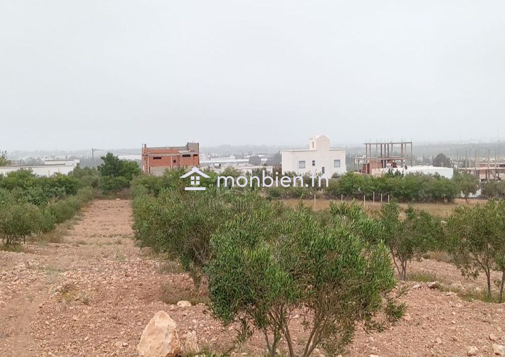 Un superbe lot de terrain de 382 m² à Hammamet Sud à vendre 51355351