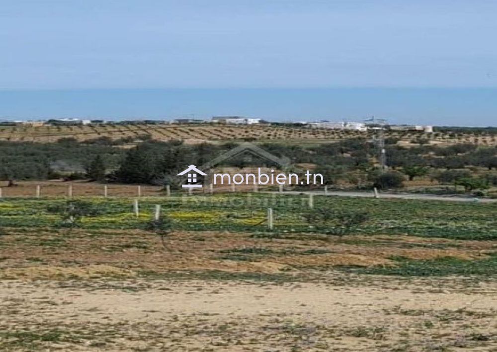 Terrain de 2851 m² à Hammamet Sud à vendre à 185 MD 51355351
