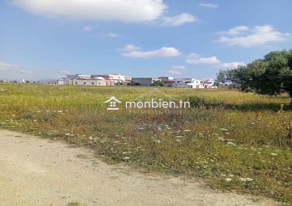 Un terrain de 1000 m² à KM71 coté plage à vendre 51355351