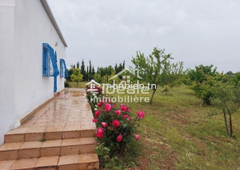 Verger d’exception à Borj Hfaïedh – Une adresse rare entre Bouargoub et Hammamet