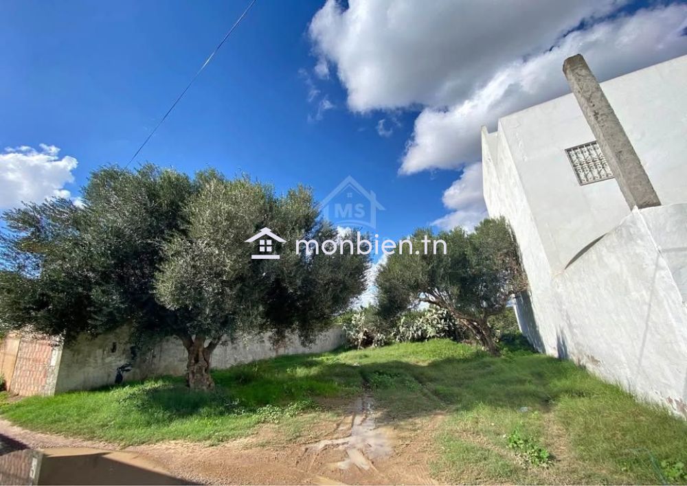 Lot de terrain de 250 m² à Hammamet à vendre 51355351
