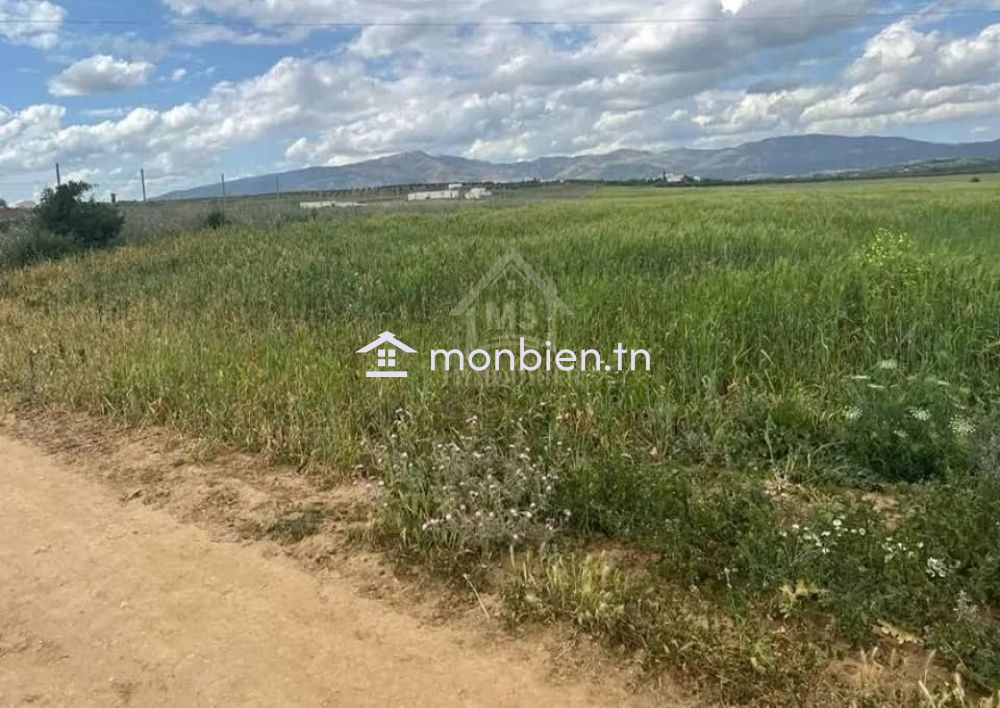 Terrain de 7500 m² à vendre à Hammamet Sud 51355351