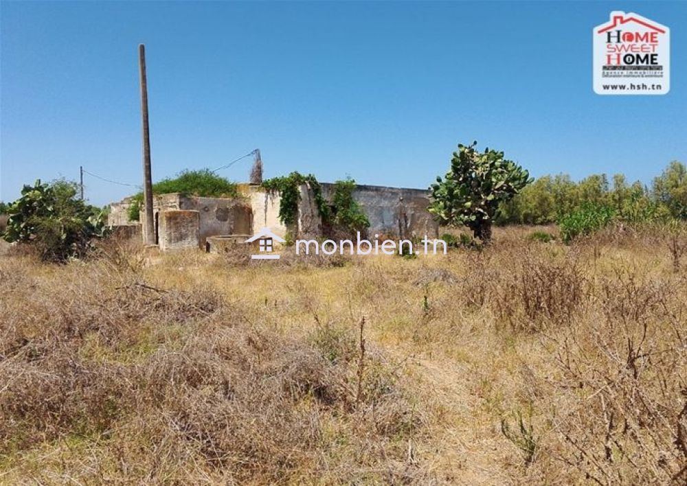 Ferme Zoey à Vendre à Menzel Bouzalfa