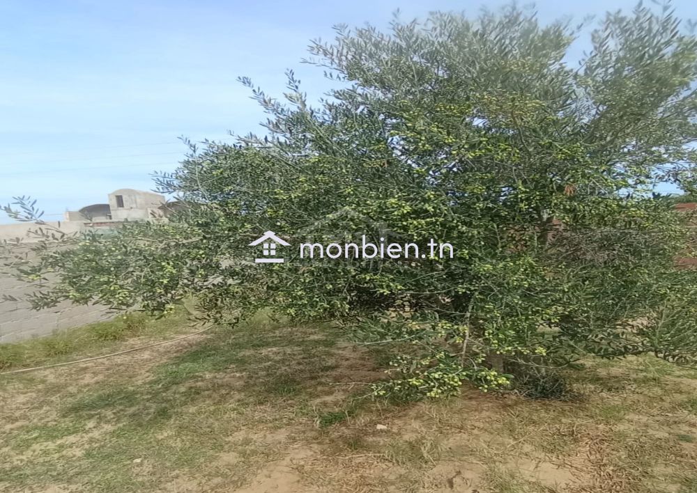 Terrain avec studio à Birbouragba à vendre à 80 MD 51355351