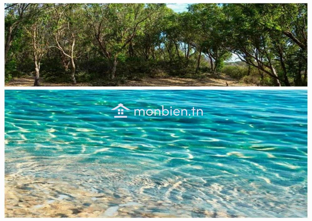 1 ha a vendre au cap bon