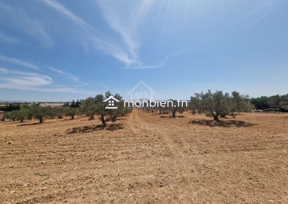 Terrain de 4018 m² à vendre à 200 dt/m² à Hammamet Sud