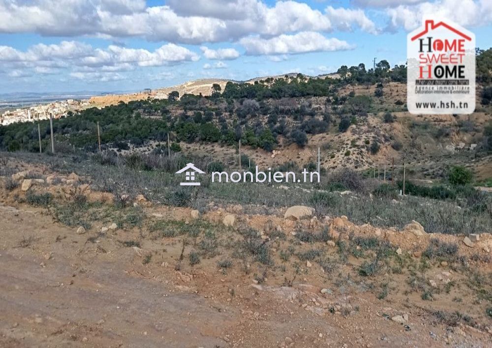 Terrain Habitation Meziane à Vendre à Nahli