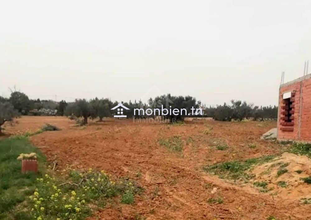 Terrain à vendre à 200 dt/m² à Hammamet Sud 51355351