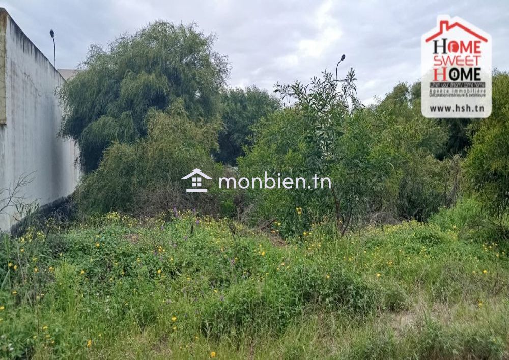 Terrain Villa Miralia à Vendre à Raoued Plage