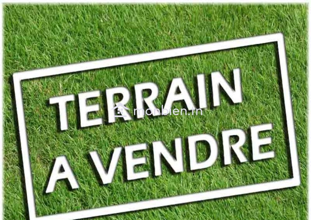 Terrain à vendre