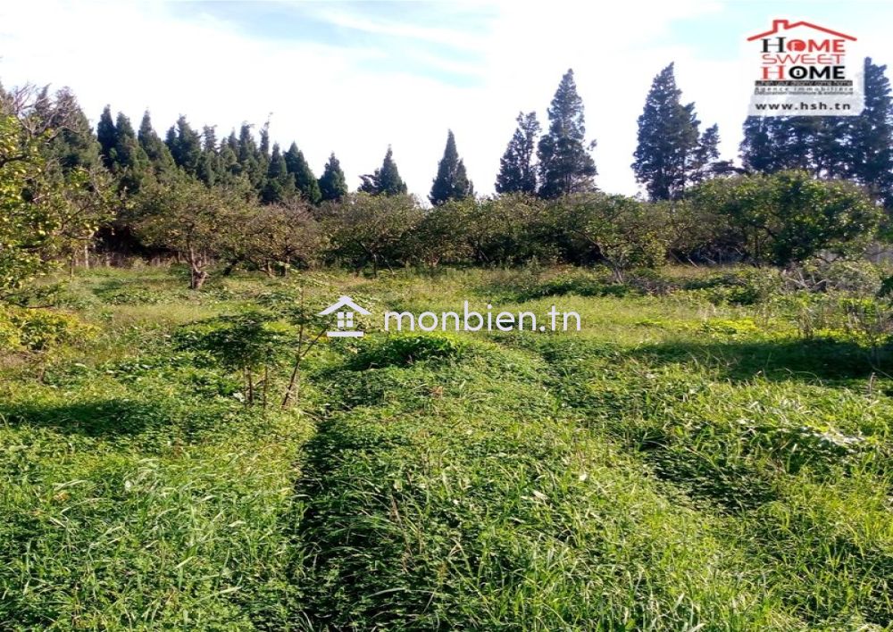 Terrain Agricole Florésia à Vendre à Menzel Bouzalfa