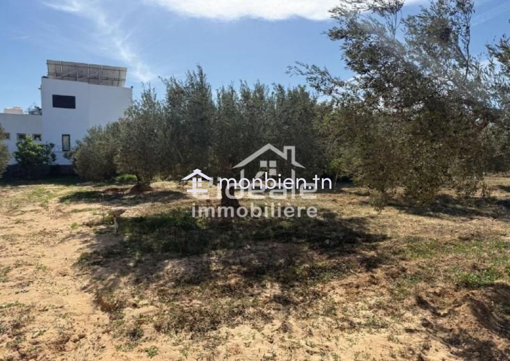 Terrain Aziz à Hammamet Nord