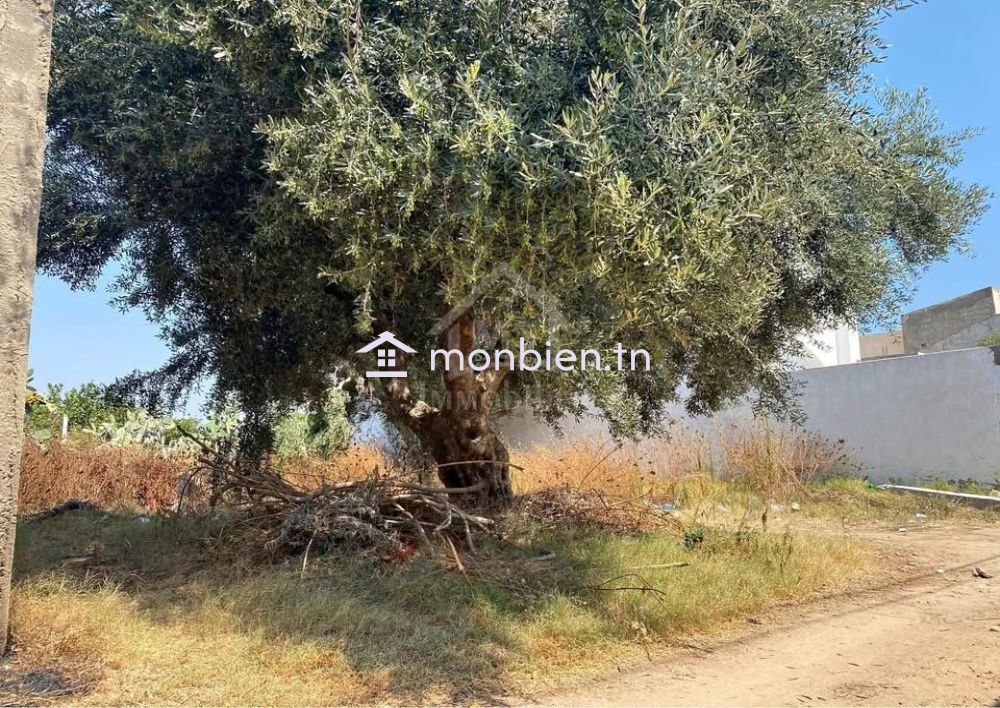 Lot de terrain de 250 m² à Hammamet à vendre 51355351