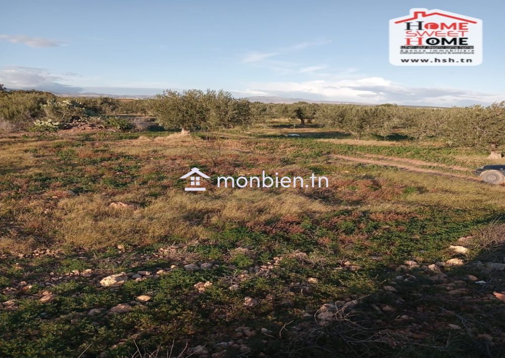 Terrain Agricole Erraja à Vendre à Zaghouan