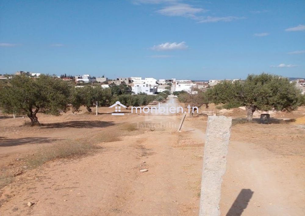 Terrain de 400 m² avec vue de mer à Hammamet Sud à vendre 51355351