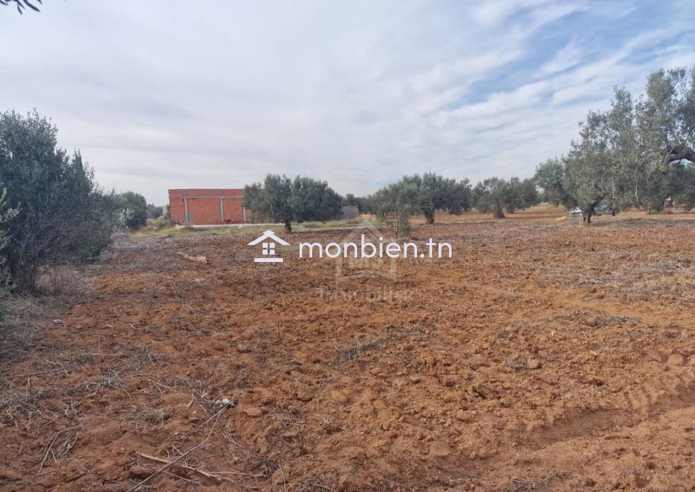 Terrain de 1000 m² à Hammamet Sud à vendre à 230 MD 51355351