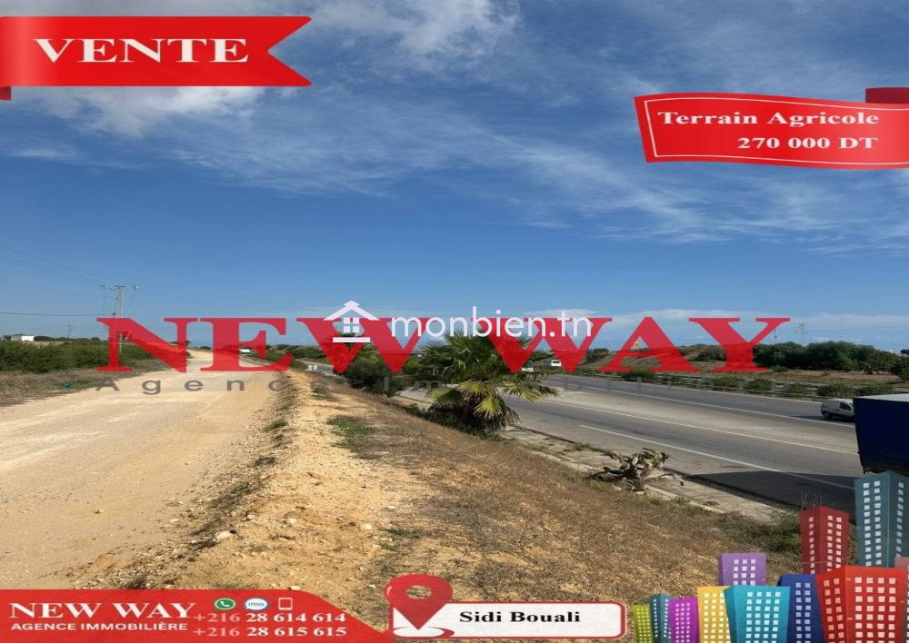 Terrain Agricole à Sidi Bouali près de l'autoroute et GP1