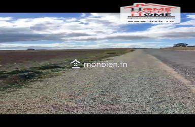 Terrain Agricole Haiza à Vendre à Kef