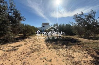 À vendre deux terrains d’exception à Hammamet Nord