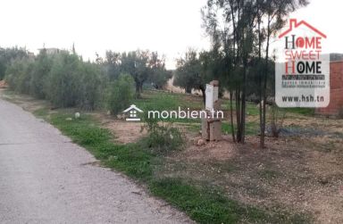 Terrain agricole Agron à vendre à Mjez El Beb