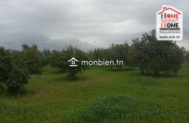 Terrain Agricole TerraNova à Vendre à Mornag