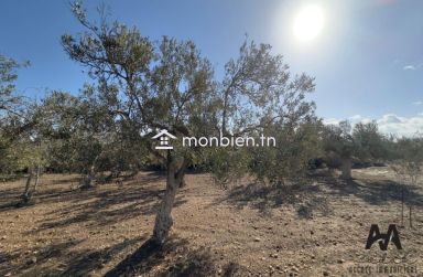 Terrain agricole de 2664m² à Dharoufa, Nabeul
