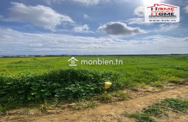 Terrain Agricole Karay à Vendre à Hammem Ghzez