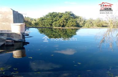 Terrain Agricole Florésia à Vendre à Menzel Bouzalfa