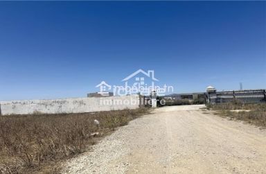 Terrain à Vendre – Zone Douikhla, à deux pas de Hammamet Sud