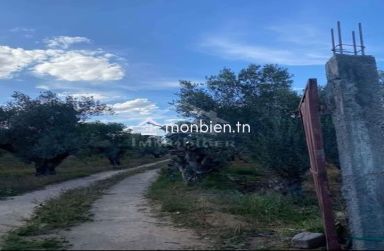 Terrain de 950 m² à vendre à Hammamet zone théâtre 51355351