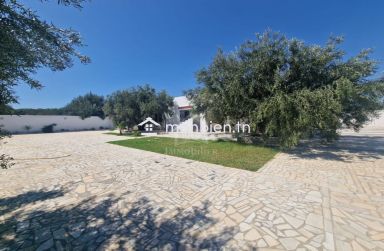 Spacieuse maison S+2 à Hammamet Sud à vendre 51355351