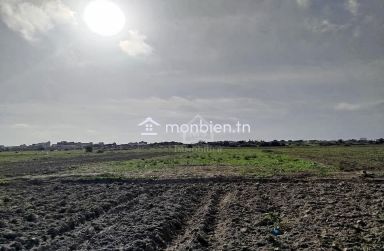 Un terrain de 669 m² à Maamoura à vendre 51355351