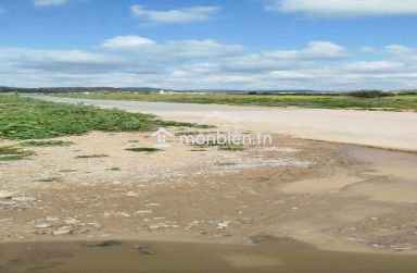 Terrain de 4000 m² à vendre à 100 MD à Hammamet Sud 51355351