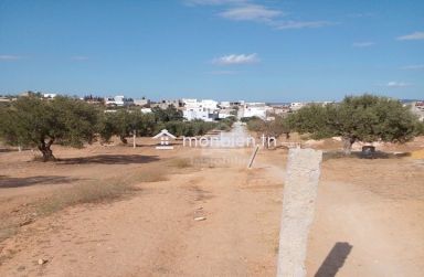 Terrain de 400 m² avec vue de mer à Hammamet Sud à vendre 51355351