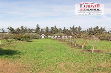 Terrain agricole Nectar à vendre à Mornaguia