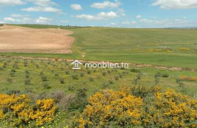 🌿 Ferme à vendre – 8,5 hectares