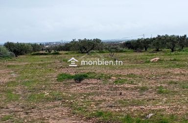 Terrain de 2700 m² à Hammamet Sud à vendre à 200 MD 51355351