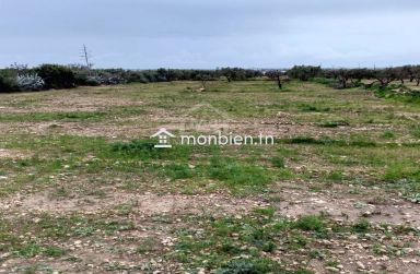 Terrain de 2700 m² à Hammamet Sud à vendre à 200 MD 51355351