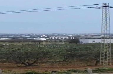 Terrain de 2851 m² à Hammamet Sud à vendre à 185 MD 51355351