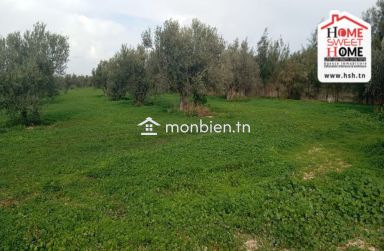 Terrain Habitation Orélia à Vendre à Borj Touil