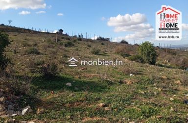 Terrain Habitation Meziane à Vendre à Nahli