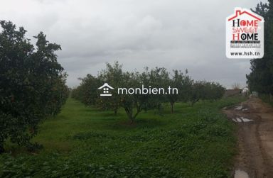 Terrain Agricole TerraNova à Vendre à Mornag