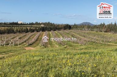 Terrain Agricole Les Hauts de Provence à Vendre à Morneg
