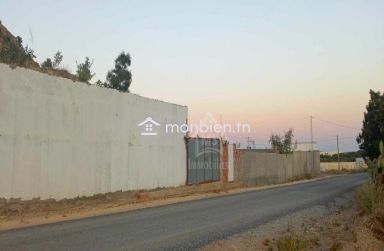 Terrain clôturé de 230 m² à Hammamet Sud 51355351