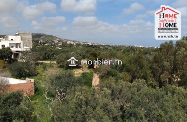 Terrain Villa Evania à Vendre à Hammem Ghzez