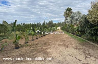 Ferme Beni Khaled 2 T1225 Nabeul